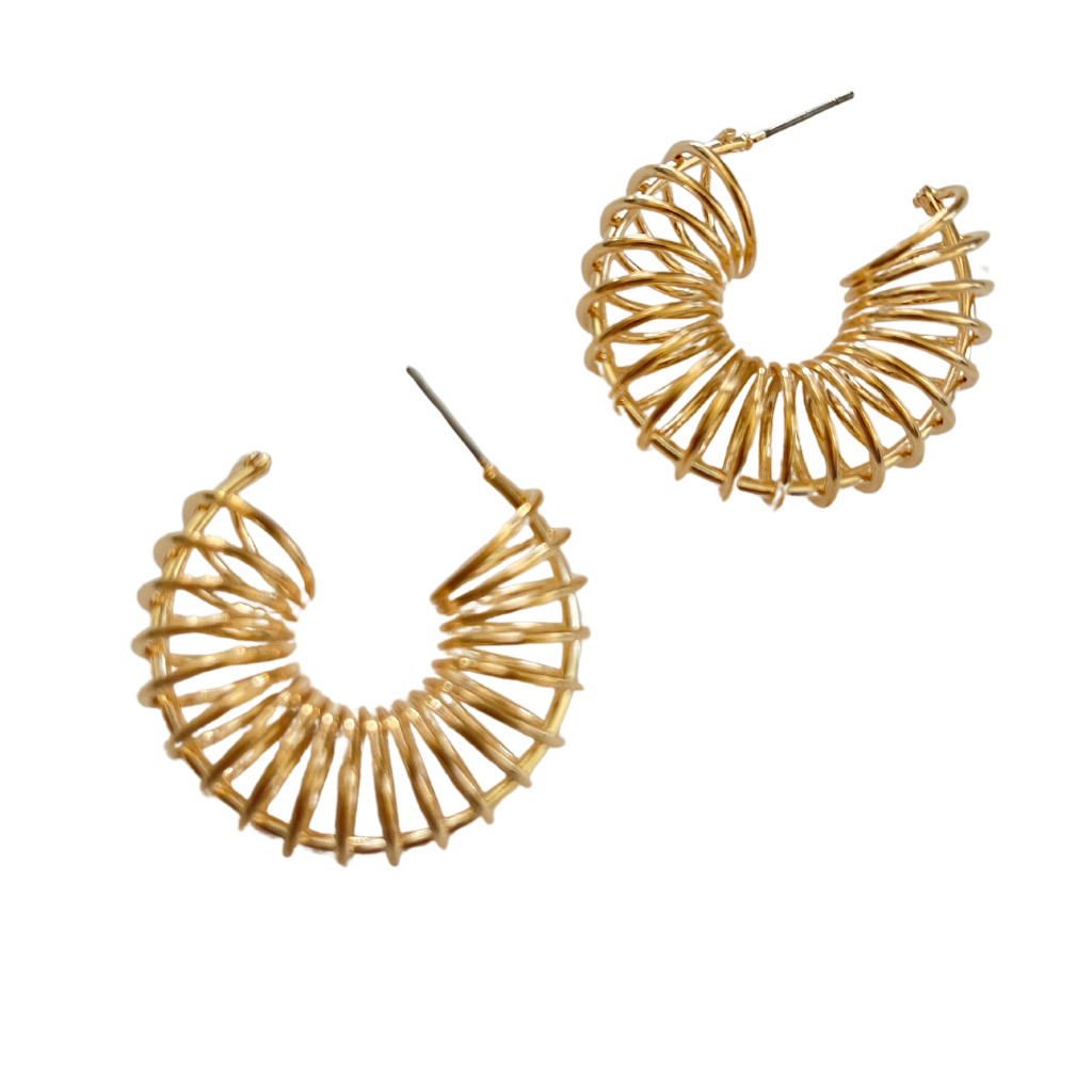 Sprial Hoop Earrings