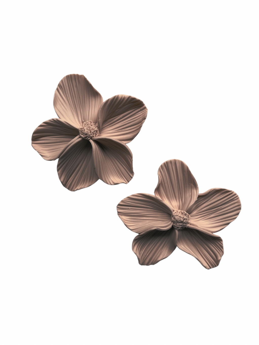 Lady Blooms